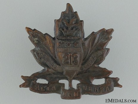 213th Infantry Battalion Other Ranks Collar Badge Obverse