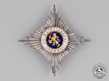 Order of Orange-Nassau, Civil Divison, Grand Officer Breast Star