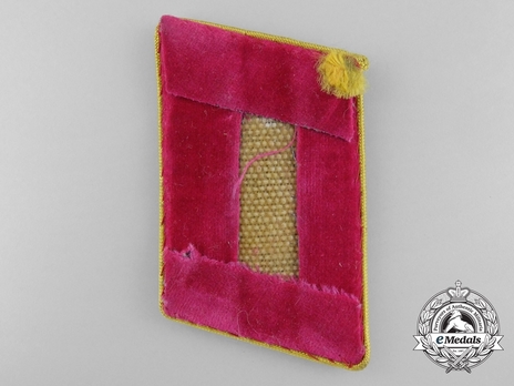 NSDAP Ober-Abschnittsleiter Type IV Reich Level Collar Tabs Reverse