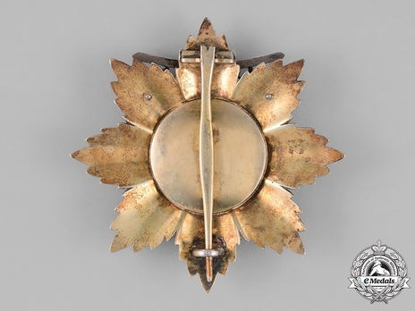House Order of Duke Peter Friedrich Ludwig, Military Division, Grand Cross Breast Star (with silver crown) Reverse
