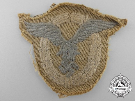 Pilot Badge, in Cloth (tropical) Obverse