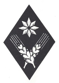 Waffen-SS WVHA (Agricultural Administration) Trade Insignia Obverse