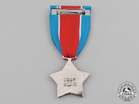 Wound Medal, I Class Reverse
