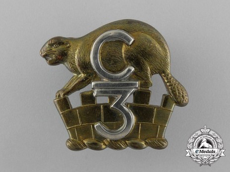 3rd Infantry Battalion Officers Collar Badge Obverse