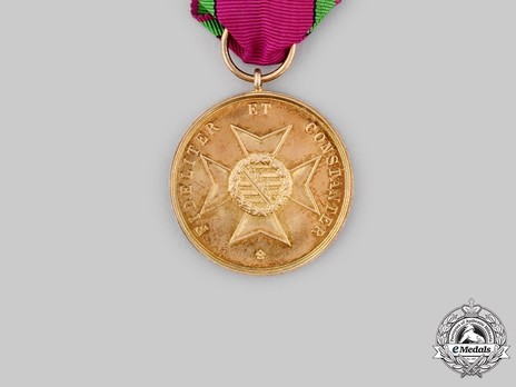 Saxe-Altenburg House Order Medals of Merit, Civil Division, Type IV, in Gold Reverse