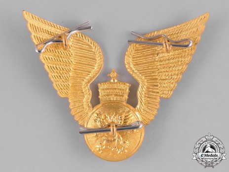 Imperial Ethiopian Air Force Cap Badge Reverse