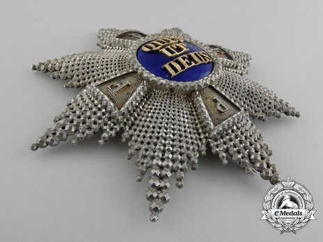 Royal Order of Merit of St. Michael, Grand Cross Breast Star (by Quellhorst) Obverse