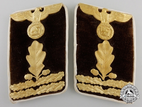 NSDAP Haupt-Abschnittsleiter Type IV Kreis Level Collar Tabs Obverse