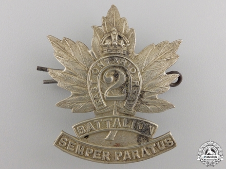 2nd Infantry Battalion Other Ranks Cap Badge Obverse