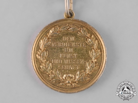 Medal for Art and Science, Type I, in Gold (in silver gilt) Reverse
