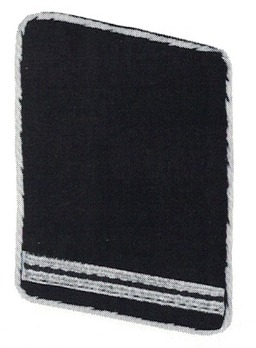 Allgemeine SS Sturmmann Collar Tabs (pre-1934 version) Obverse