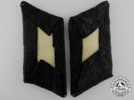 German Army Medical Officer Ranks Field Collar Tabs Reverse