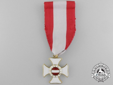Hungarian Military Order of Maria Theresa, Knight