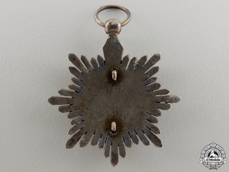 Miniature 2nd Class Breast Star (silver gilt) Reverse