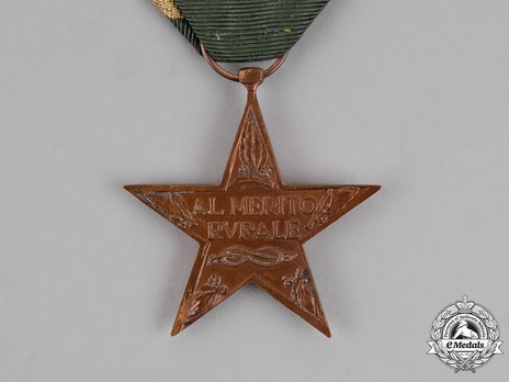 Star of Rural Merit, in Bronze Reverse