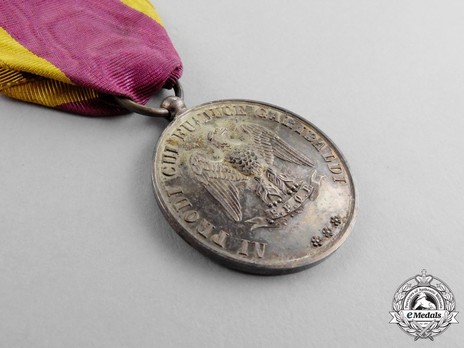 Medal for 1000 Volunteers, in Silver Obverse