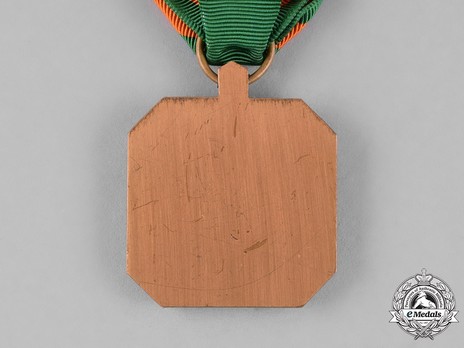 Navy and Marine Corps Achievement Medal Reverse