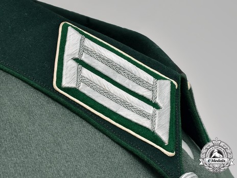 German Army Administrative Officer's Dress Tunic Collar Detail
