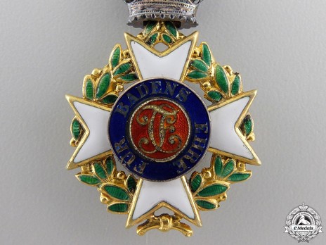 Order of Military Merit of Charles Frederick, Knight (in gold) Reverse Detail