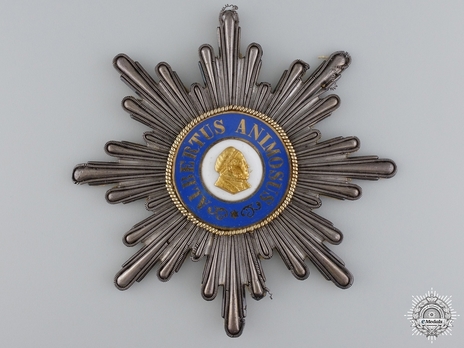 Albert Order, Type I, Civil Division, Grand Cross Breast Star (early form) Obverse