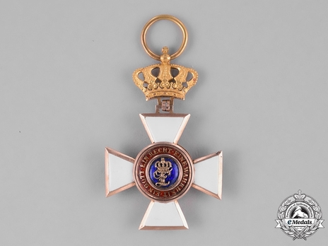 House Order of Duke Peter Friedrich Ludwig, Civil Division, I Class Knight (in gold) Obverse