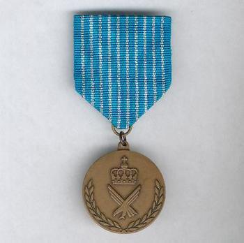 National Service Medal (Air Force) Obverse