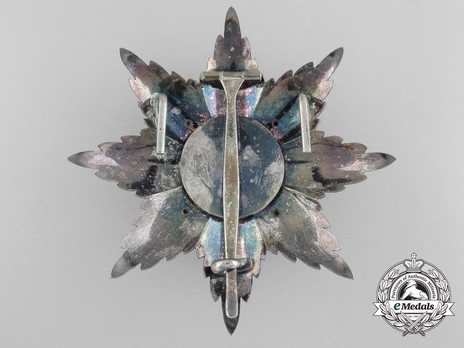 Grand Cross Breast Star (1858-) (Silver gilt by Arthus-Bertrand) Reverse