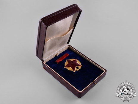 Order of the Partisan Star, I Class Case of Issue