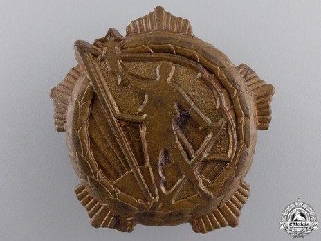 Medal for Remembrance, Type II, Large Badge (in Bronze) Obverse