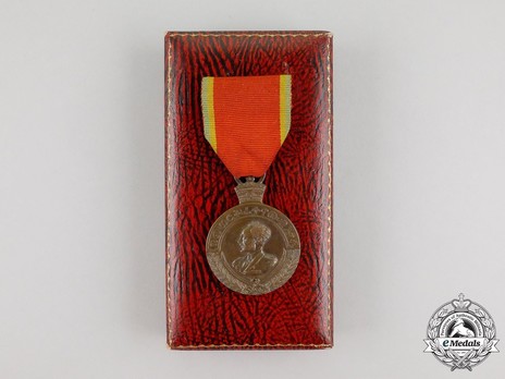 Medal of Patriots of the Interior Case of Issue