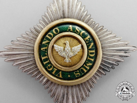 Order of the White Falcon, Type II, Civil Division, Commander Breast Star Obverse