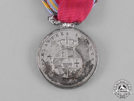 Civil Merit Medal, Type VI Reverse