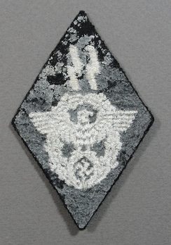 Waffen-SS Reich Main Security Office (SS & Police Matters) Trade Insignia Reverse