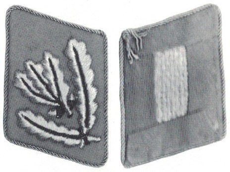 NSKK-Korpsführer Collar Tabs (1934-1936 version) Obverse