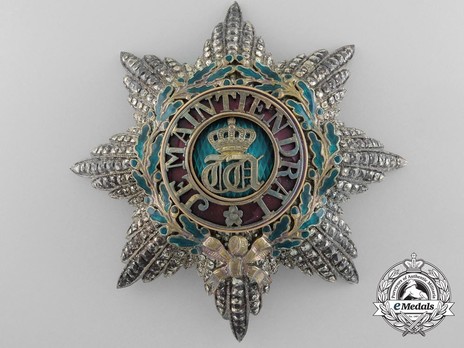 Grand Cross Breast Star (1858-) (Silver gilt by Arthus-Bertrand) Obverse