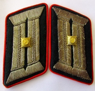 NSDAP Hauptamtsleiter Type III Gau Level Collar Tabs (retired version) Obverse