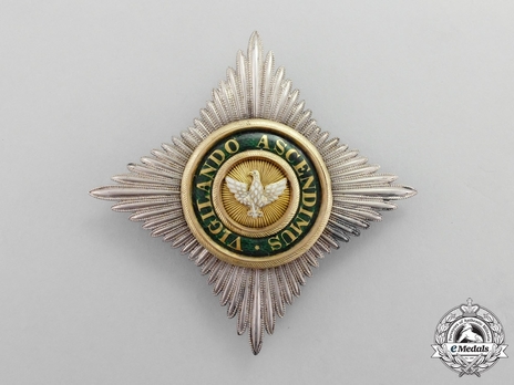 Order of the White Falcon, Type II, Civil Division, Commander Breast Star Obverse