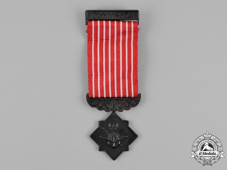 Safeguarding Bronze Medal (II Class) Obverse