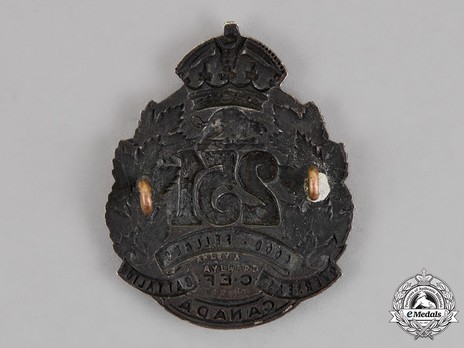 251st Infantry Battalion Officers Cap Badge Reverse