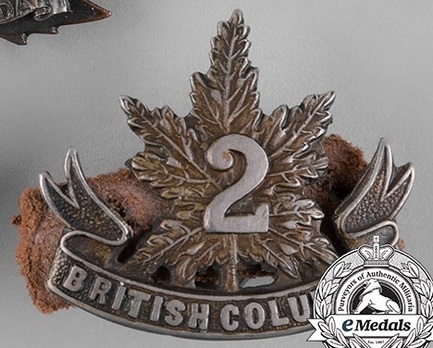 30th Infantry Battalion Officers Collar Badge Obverse