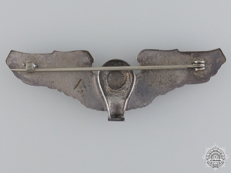 Pilot Wings (with brass) Reverse
