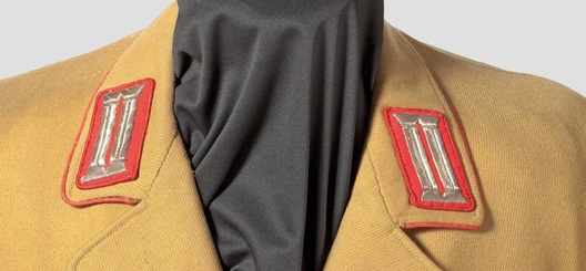 NSDAP Gauinspekteur Type II Gau Level Collar Tabs (2nd pattern) Obverse