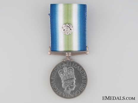 Medal (for service in combat zone, with rosette) Obverse