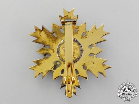 Order of National Security Merit, Type I, I Class Breast Star Reverse