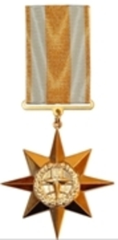 Allegiance and Honour Medal, I Class Obverse