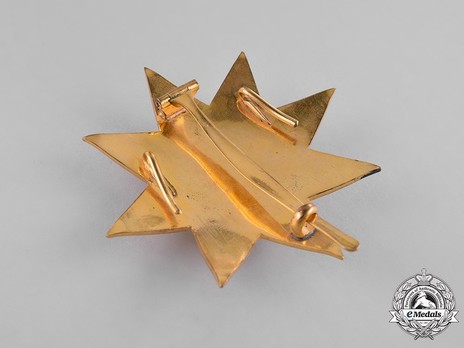 Order of the Star of Ethiopia, Grand Officer Breast Star (in Bronze gilt) Obverse