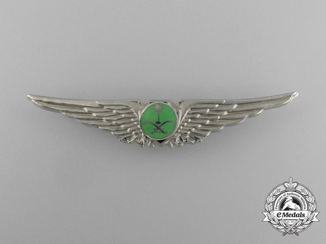 Pilot's Wings (with silver and enamel) Obverse