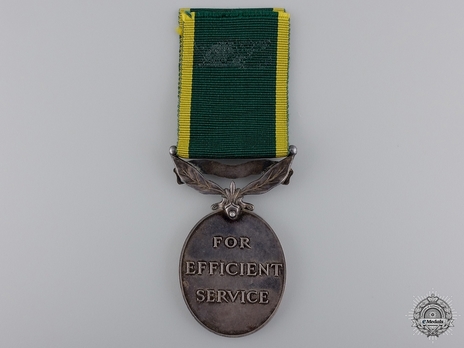 Silver Medal (for Territorial Forces, with King George V effigy) Reverse