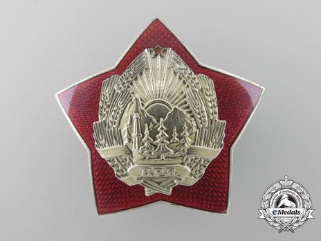 Order for Special Merit in the Defence of the State and Social Order, II Class Breast Star (1958-1965) Obverse
