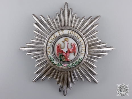 Order of the Red Eagle, Type III, I Class Breast Star (without coat of arms) Obverse